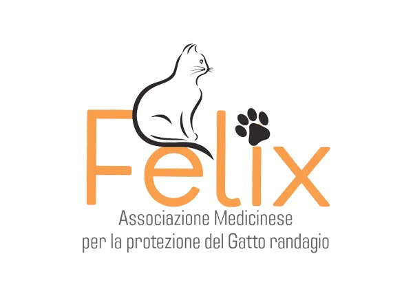 Spogliatoio gattile Felix